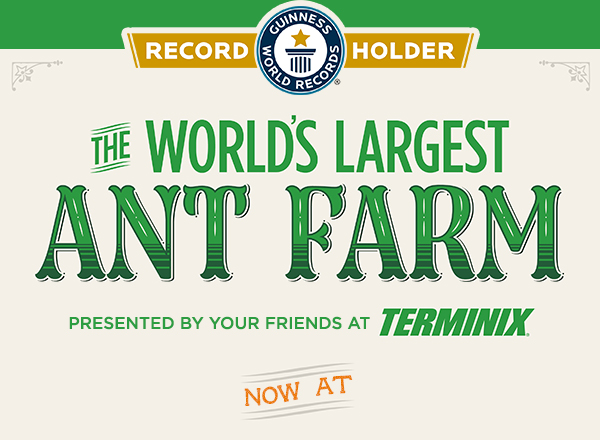 The World’s Largest Ant Farm 
Presented by Your Friends at Terminix. Now at
